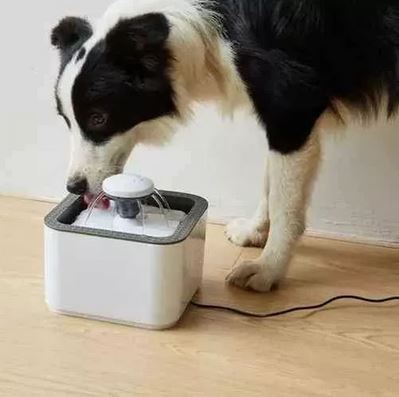 Fuente Dispensadora de Agua para Perros y Gatos